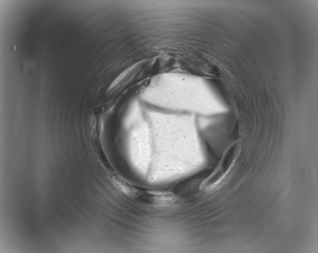 X0000070210192200606091634