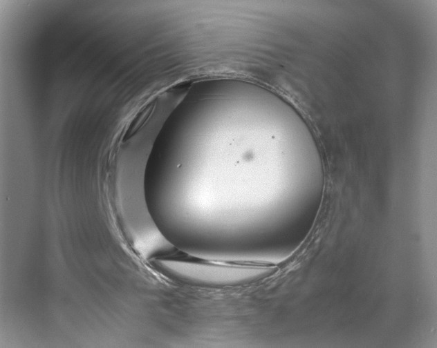 X0000070210193200606091633