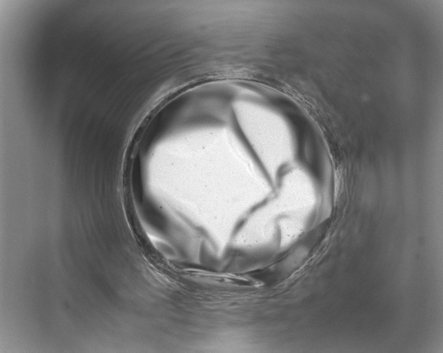 X0000070210195200606091633