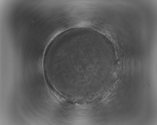 X0000070210196200606091633