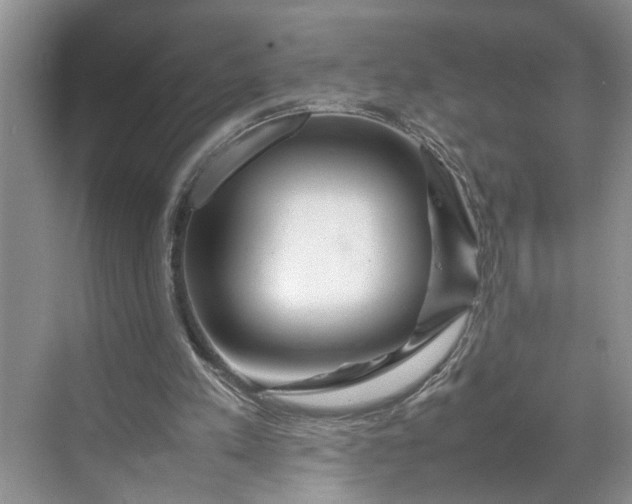 X0000070210197200606091633