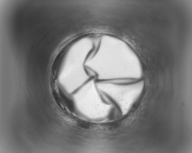 X0000070210199200606091633