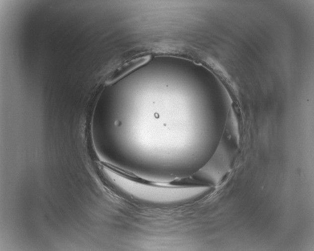 X0000070210201200606091633