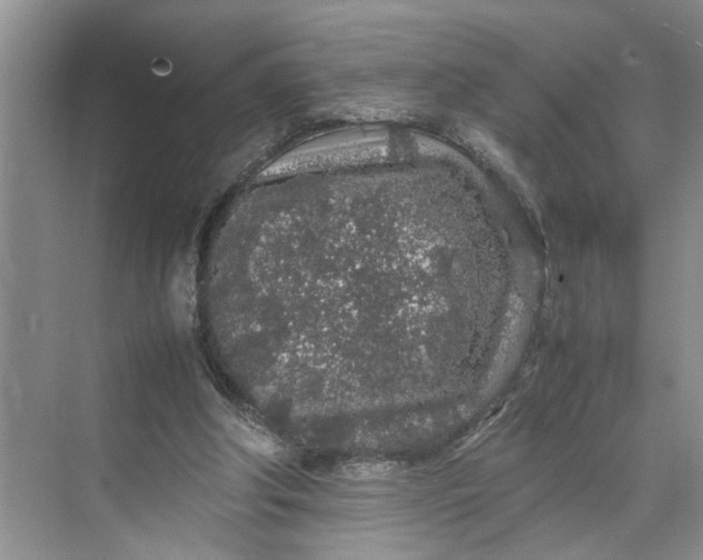 X0000070210202200606091633