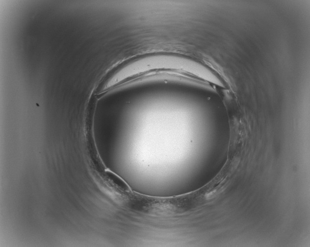 X0000070210203200606091633