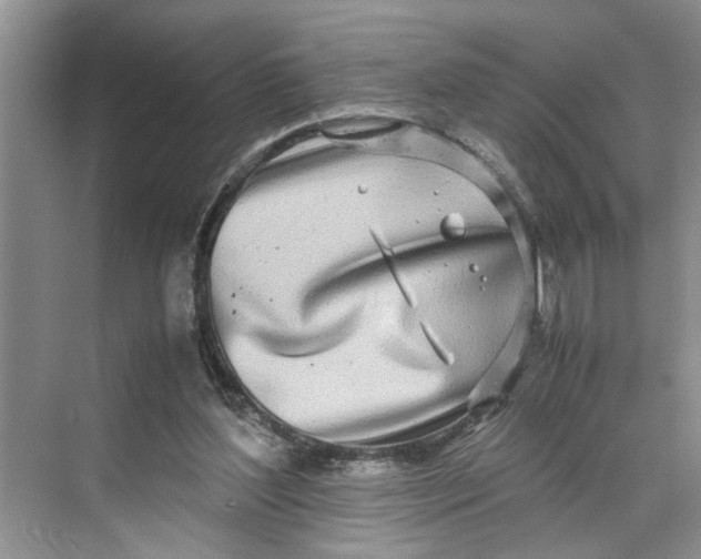 X0000070210204200606091633