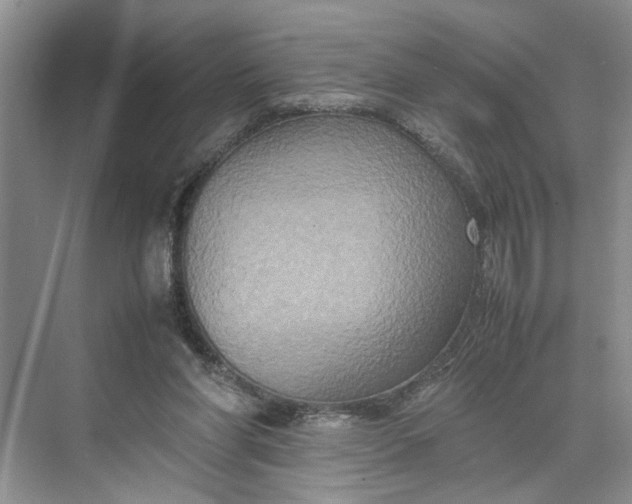 X0000070210206200606091633