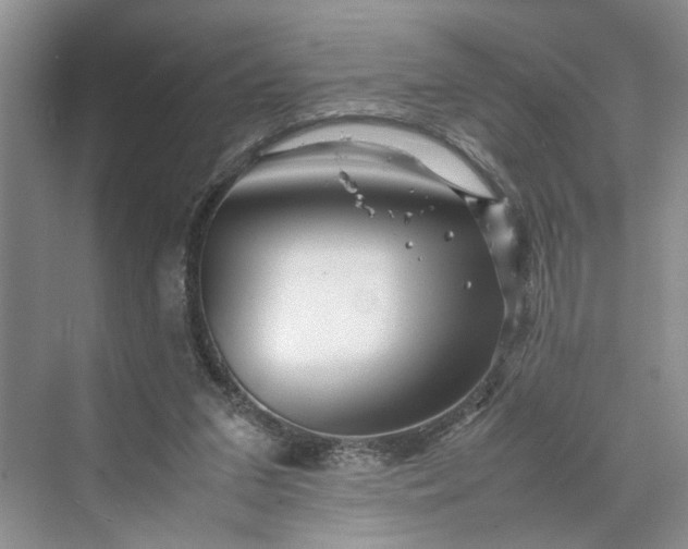 X0000070210207200606091633