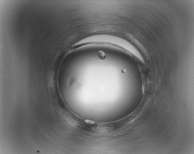 X0000070210209200606091633