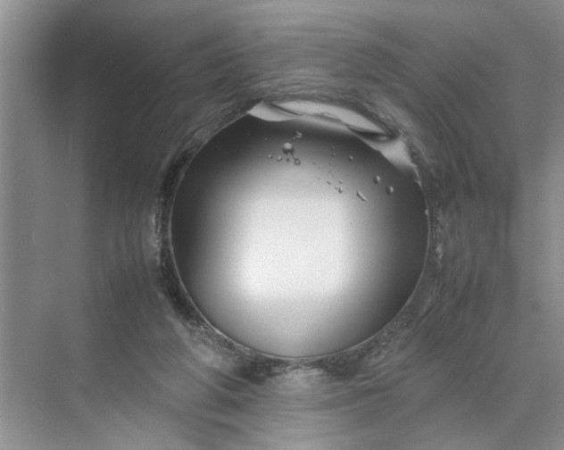 X0000070210210200606091633