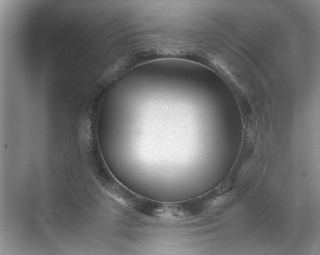 X0000070210211200606091633