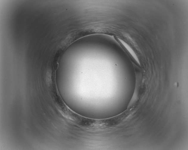 X0000070210213200606091633