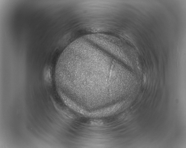 X0000070210214200606091633