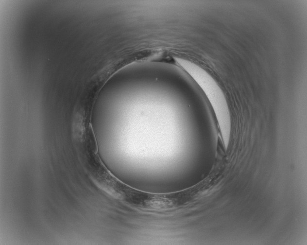 X0000070210215200606091633