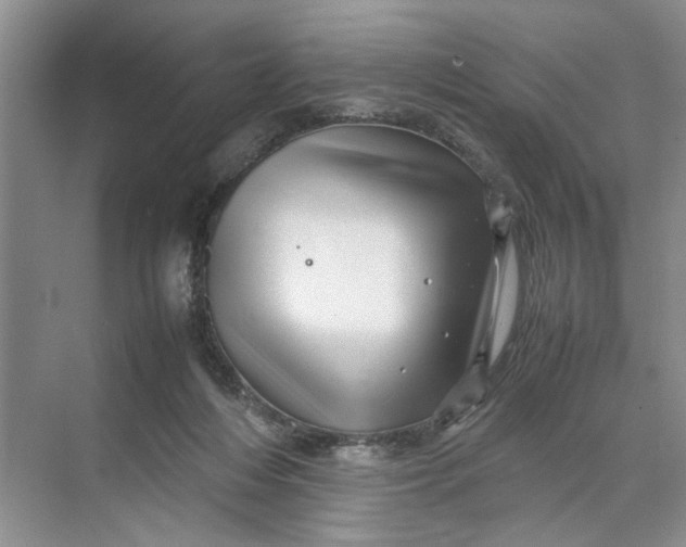 X0000070210216200606091633