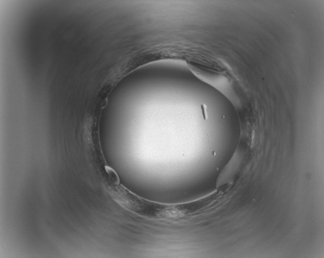 X0000070210217200606091633