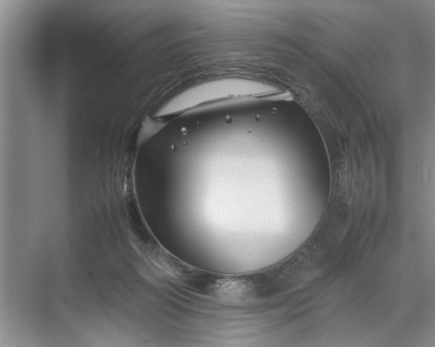 X0000070210218200606091633