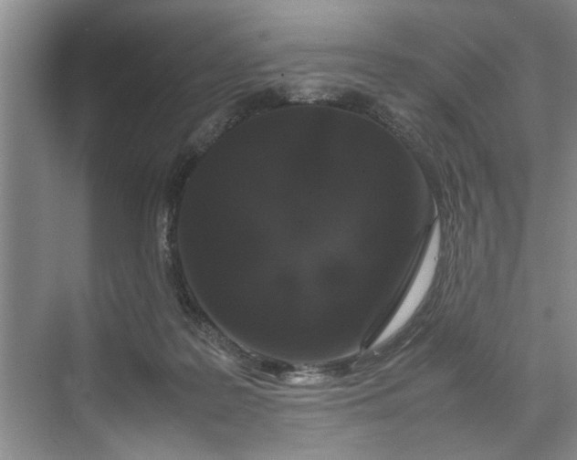 X0000070210219200606091633