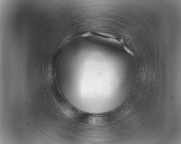 X0000070210220200606091633