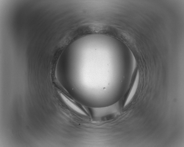 X0000070210221200606091633