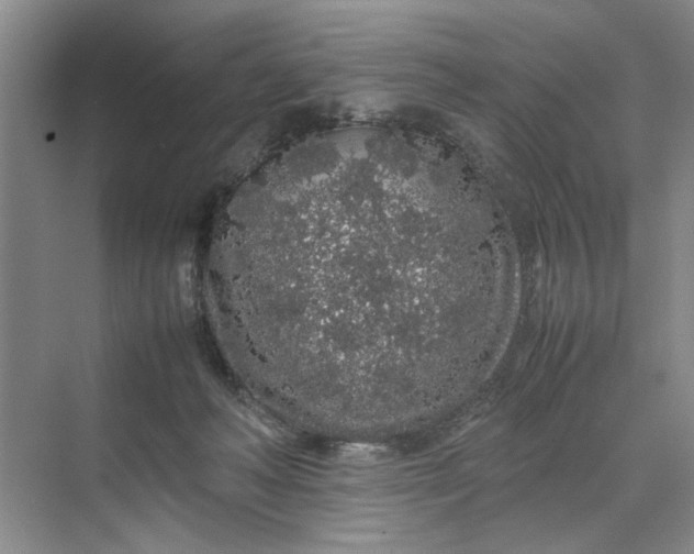 X0000070210222200606091633