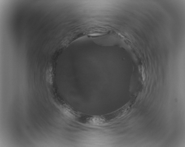 X0000070210223200606091633