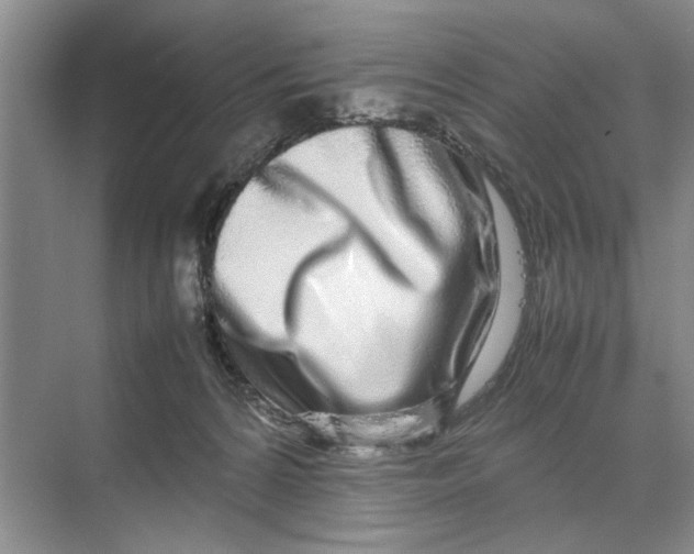 X0000070210224200606091633