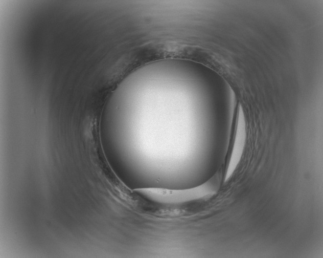 X0000070210225200606091633