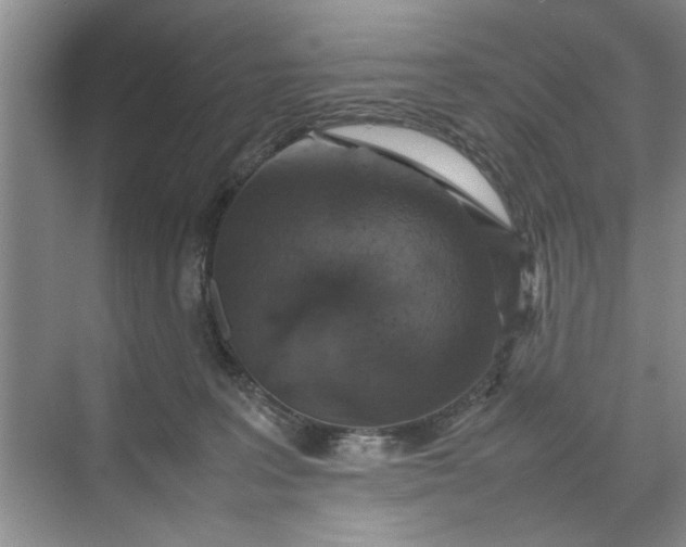 X0000070210227200606091633