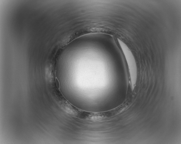 X0000070210228200606091633