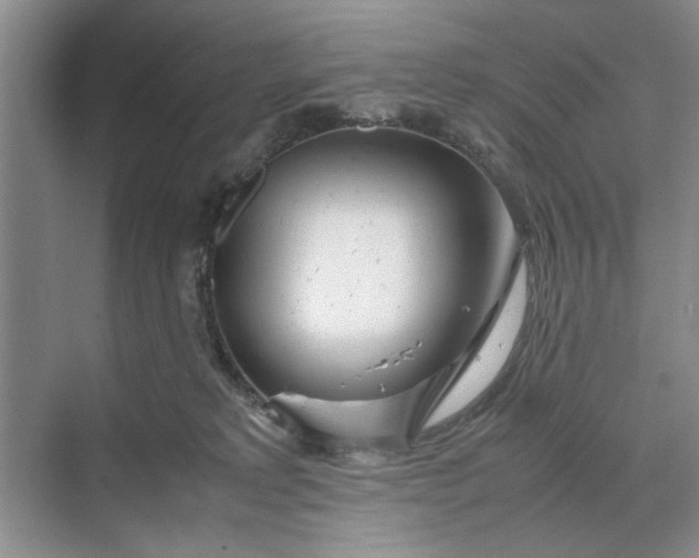 X0000070210229200606091632