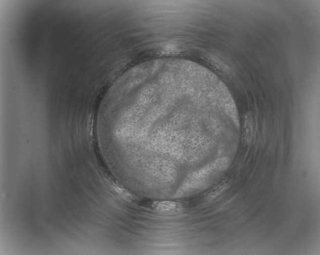 X0000070210230200606091632