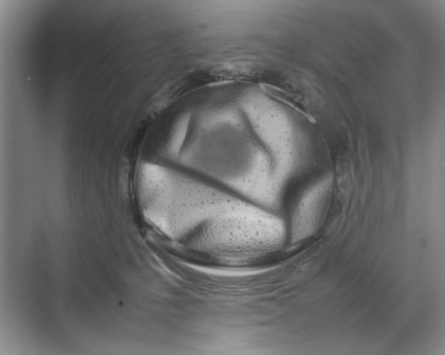 X0000070210231200606091632