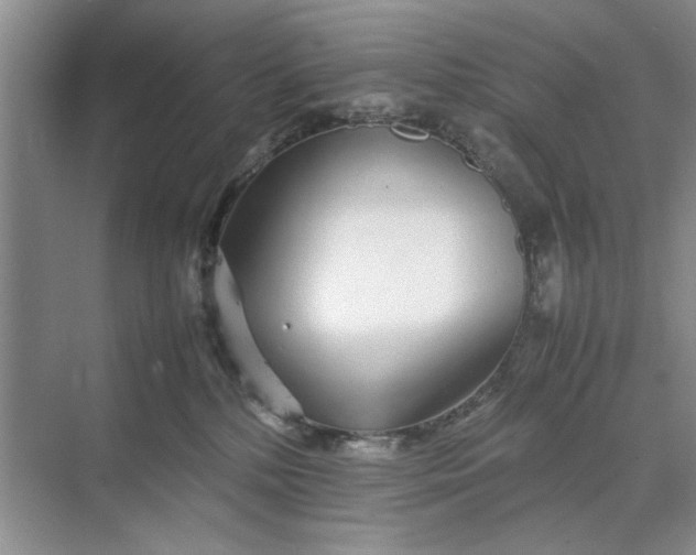 X0000070210232200606091632