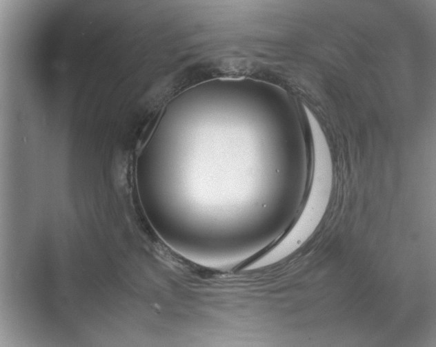 X0000070210233200606091632