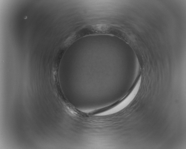 X0000070210235200606091632