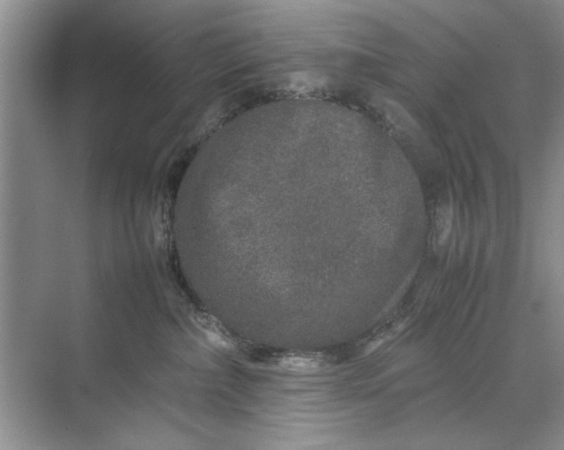 X0000070210236200606091632