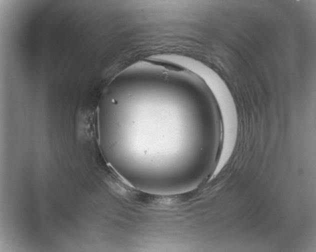 X0000070210237200606091632