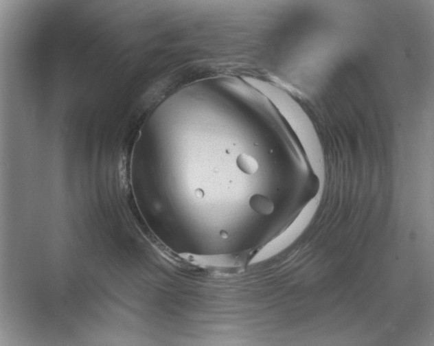 X0000070210238200606091632