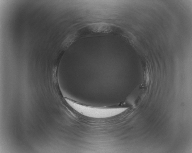 X0000070210239200606091632