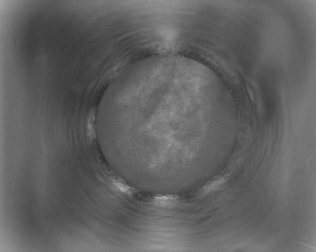 X0000070210240200606091632