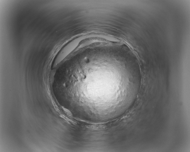 X0000070210241200606091631