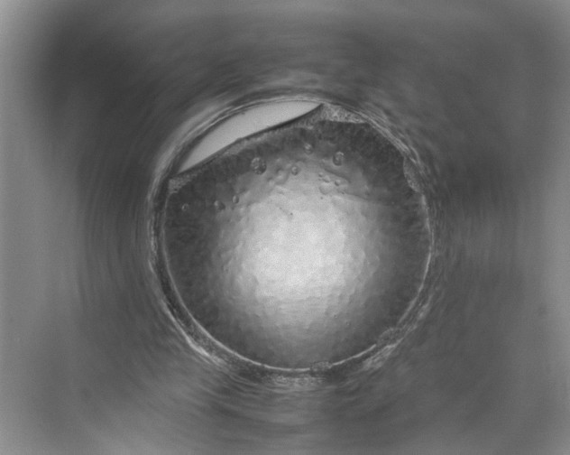 X0000070210245200606091632