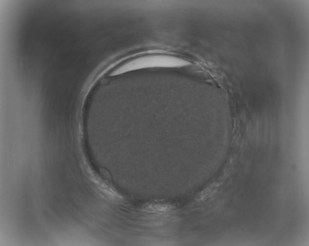 X0000070210247200606091632