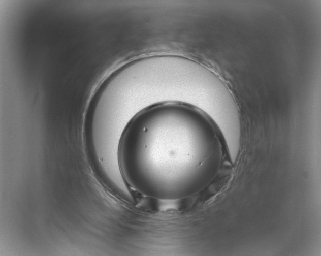 X0000070210248200606091632