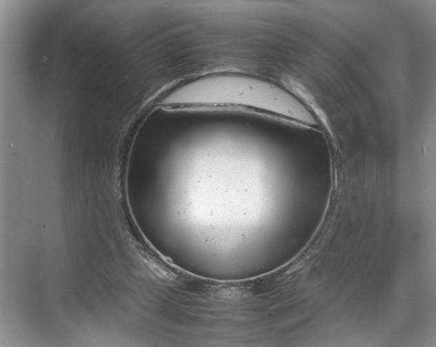 X0000070210249200606091632