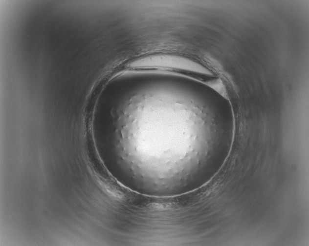 X0000070210250200606091632