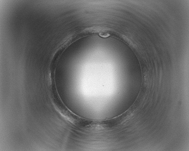 X0000070210254200606091632