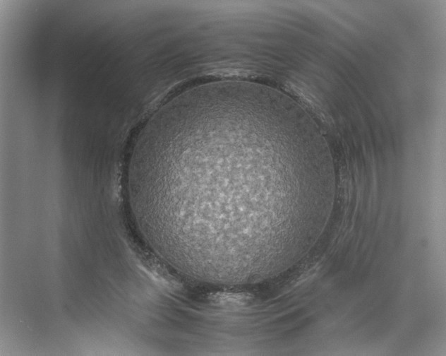 X0000070210255200606091632