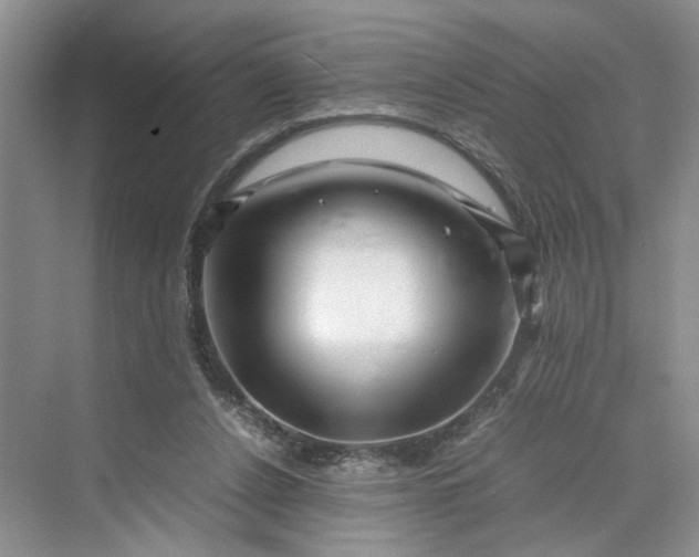 X0000070210256200606091632